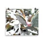 Load image into Gallery viewer, TEXAS SNOW 2021 - Photo paper poster
